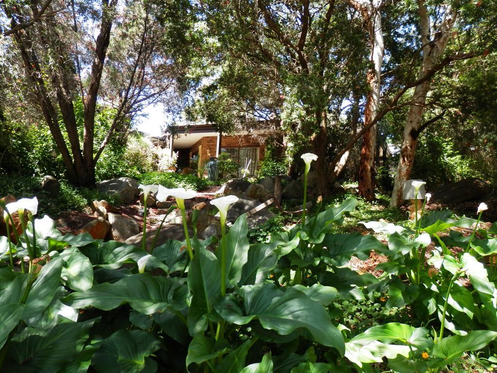 The Hideaway Luxury B&B Retreat Armadale Kültér fotó